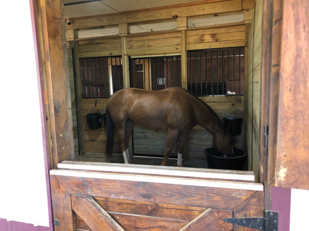 Security cameras strategically placed in each stall and around the property at Wilkerson Ranch